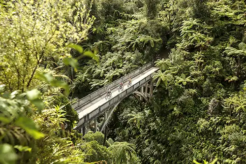 Budget car hire car from Wanganui to visit Whanganui National Park