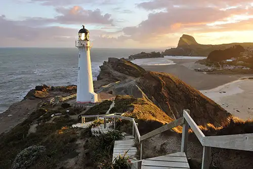 Car Rental In Wellington New Zealand